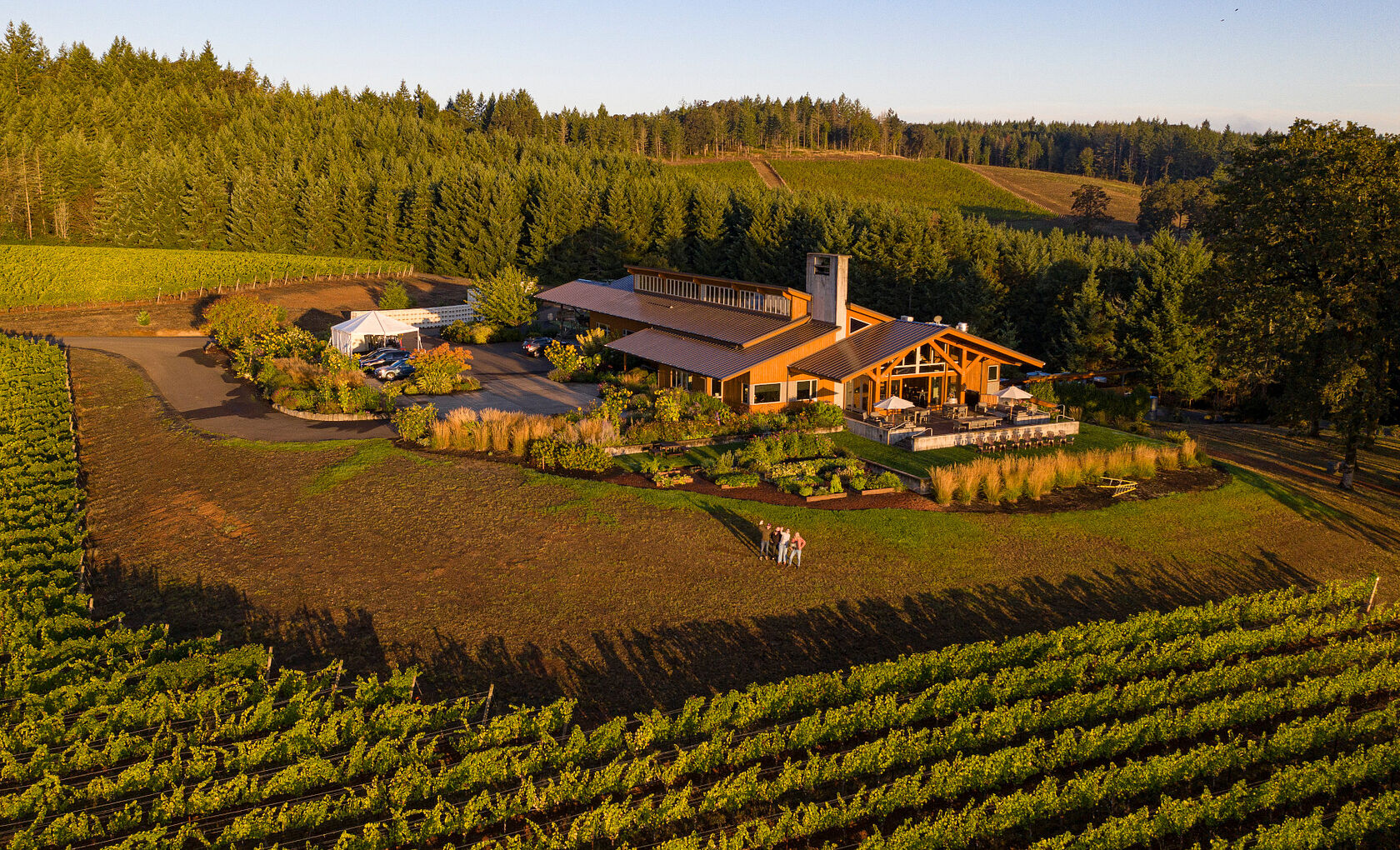 Birds eye view of Penner-Ash Winery